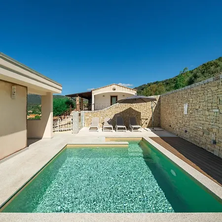 Dream - Blue Retreat Chia