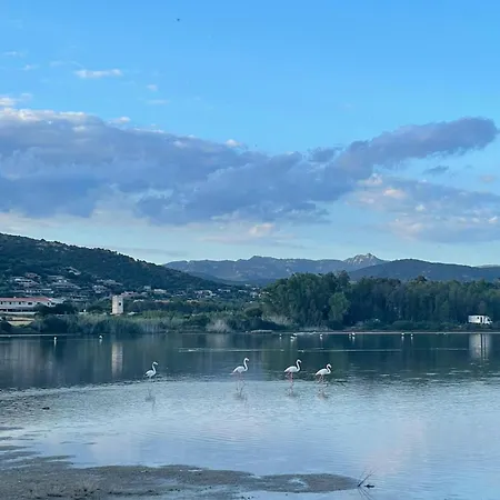 Villa Dream - Blue Retreat