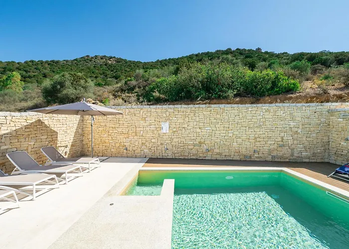 Dream - Blue Retreat Chia